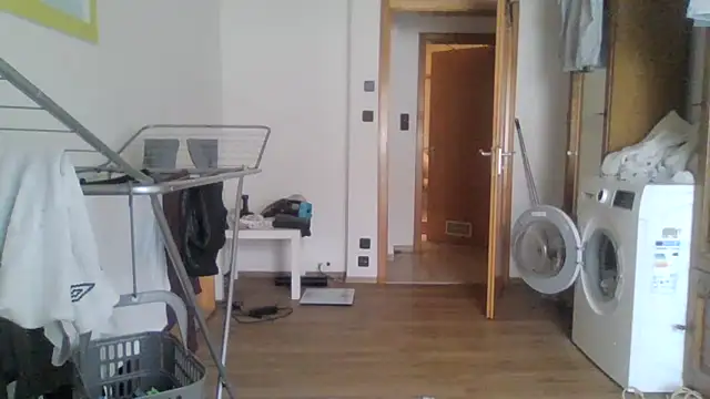 XLBarehengst online show from 02-23-26, 01:44