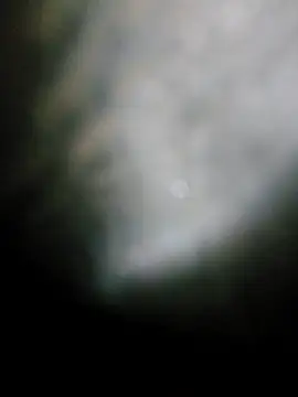 Snapshot of fena-sikerimmm chatting on 05-19-26, 10:06 fena-sikerimmm online show from 05-19-26, 10:06