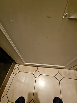 Stingles online show from 10-18-25, 03:41