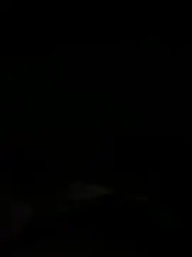 Dora  baby online show from 11-19-25, 12:05