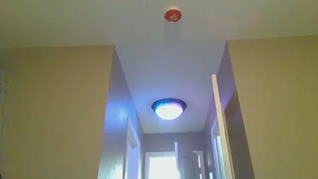 LeeCox online show from 01-10-26, 10:43