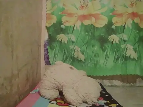sexymorenal18 online show from 09-27-25, 01:39