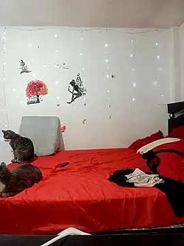 Snapshot of Lady_16 chatting on 02-17-26, 01:58 Lady 16 online show from 02-17-26, 01:58