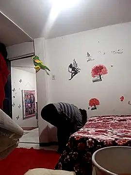 Lady 16 online show from 12-02-25, 02:01