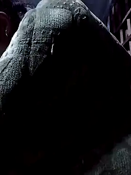 PhamPm70 online show from 11-17-25, 11:58