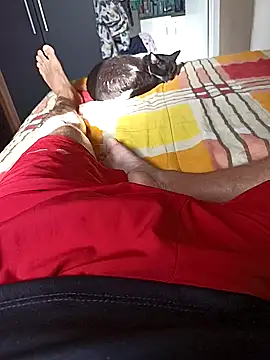 comobucetinhas online show from 11-14-25, 07:28