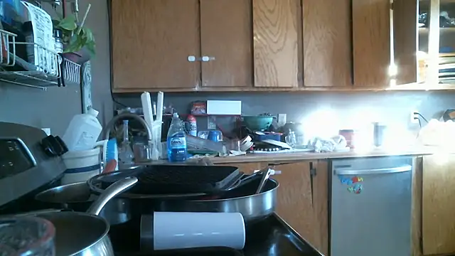 Snapshot of LostInEjaculation chatting on 02-05-26, 04:14 LostInEjaculation online show from 02-05-26, 04:14