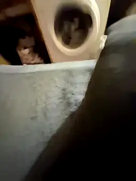 Snapshot of lapousse3 chatting on 09-25-25, 11:38 lapousse3 online show from 09-25-25, 11:38