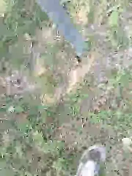Snapshot of pegaso369 chatting on 07-24-26, 11:50 pegaso369 online show from 07-24-26, 11:50