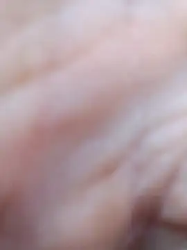 pegaso369 online show from 03-07-26, 11:16