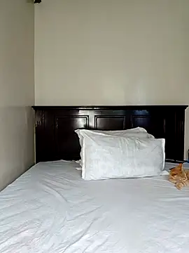 Nedambale online show from 02-14-26, 12:38