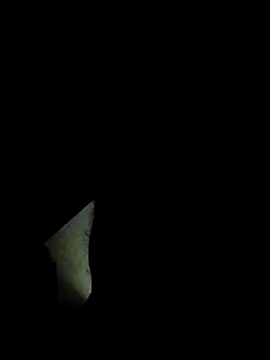 Snapshot of surekha-30 chatting on 06-07-26, 08:47 surekha-30 online show from 06-07-26, 08:47