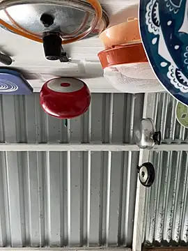 Axel-Mejia online show from 03-26-26, 07:01