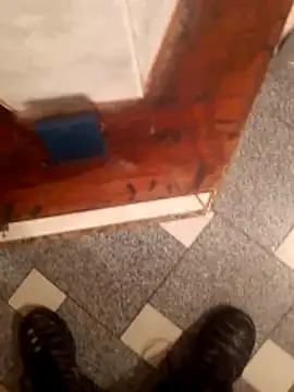 vergonvenco online show from 03-10-26, 05:44