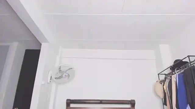 Jump rabbit online show from 01-11-26, 05:47