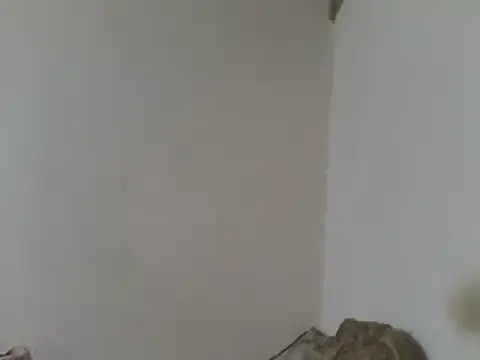 elpoop7305 online show from 04-23-26, 07:48