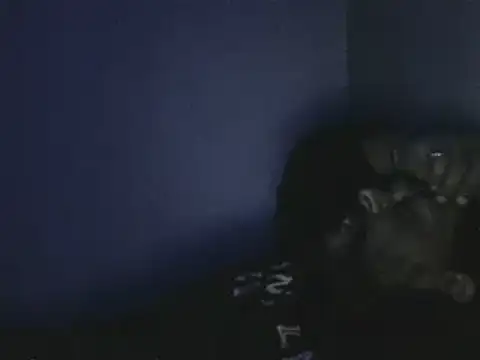 elpoop7305 online show from 10-19-25, 12:57