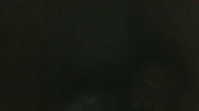 elpoop7305 online show from 03-30-26, 02:13