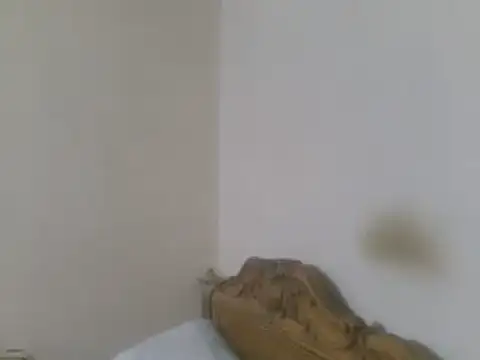 elpoop7305 online show from 05-08-26, 10:02