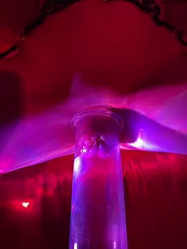 LimePussyFetish online show from 03-14-26, 08:48