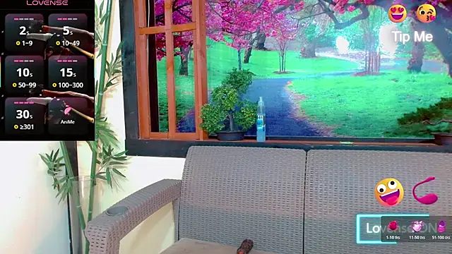 bayolet  online show from 12-02-25, 11:23