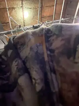 StrokingDaddy4 online show from 11-14-25, 11:36