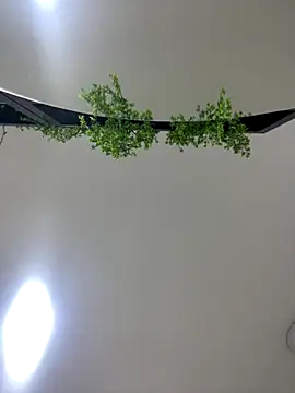 CharlotteBrownn  online show from 10-25-25, 03:17