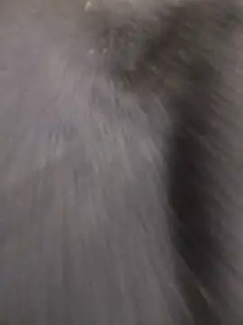 Funny Karina online show from 12-15-25, 06:36