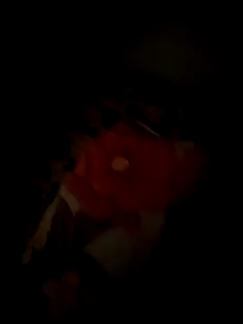 tyteo1010 online show from 12-22-25, 03:01