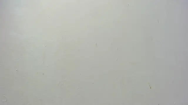 dominic de luca online show from 11-07-25, 02:38