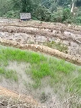 CoMay003 online show from 04-01-26, 06:15