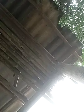 CoMay003 online show from 04-02-26, 05:25