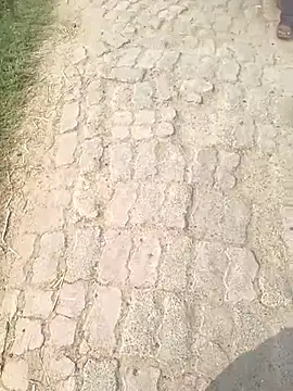 Bio-teacher online show from 10-12-25, 08:05