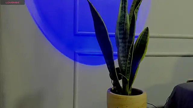 Snapshot of Ice_Princess_ chatting on 10-02-25, 04:38 Ice Princess online show from 10-02-25, 04:38
