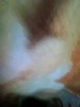 HOT-MUNDA online show from 12-17-25, 01:32