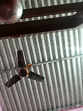 Cute-Swewty online show from 11-18-25, 02:53