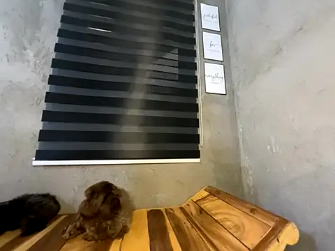 wild apple69 online show from 12-15-25, 07:25