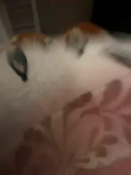 rockey118367 online show from 10-19-25, 09:45