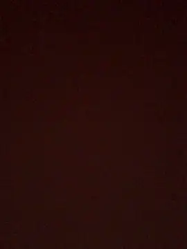 Snapshot of BrusqueEuphoria chatting on 10-11-25, 04:57 BrusqueEuphoria online show from 10-11-25, 04:57