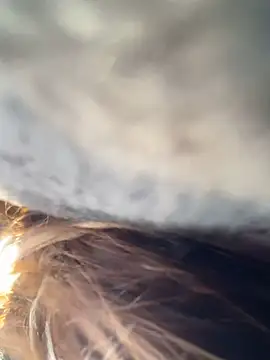   BabyShowPublic   online show from 03-28-26, 09:21