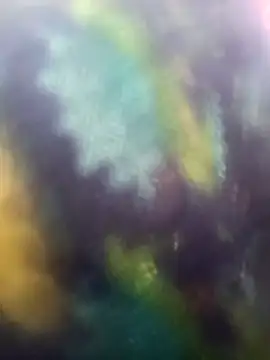 Juhi chawla online show from 11-18-25, 09:01