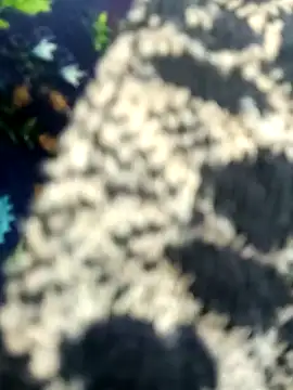 Juhi chawla online show from 11-11-25, 01:44