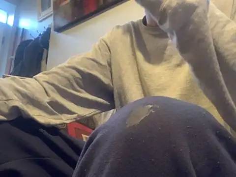 Insurance-03 online show from 11-21-25, 07:24