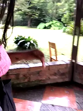 SophiaGuzman online show from 10-11-25, 09:38