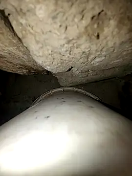 princexdcs online show from 02-10-26, 09:14