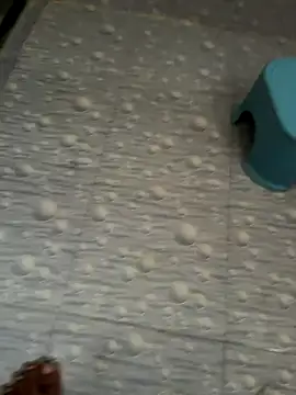 Snapshot of NoddingScorpion chatting on 10-16-25, 03:26 NoddingScorpion online show from 10-16-25, 03:26