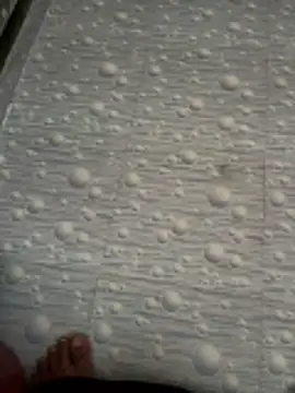 NoddingScorpion online show from 11-07-25, 03:22