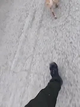 Axelitoc online show from 03-05-26, 06:10