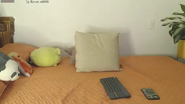 Raven06  online show from 11-11-25, 12:05