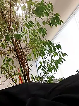 Snapshot of Emily_de_Carla chatting on 09-24-25, 03:29 Emily de Carla online show from 09-24-25, 03:29